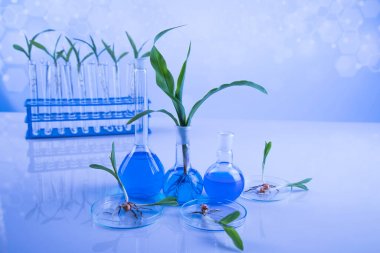 液相色譜串聯(lián)質(zhì)譜-植物激素檢測(cè)代測(cè)服務(wù)說明圖1 液相色譜串聯(lián)質(zhì)譜-植物激素檢測(cè)代測(cè)服務(wù)說明圖1