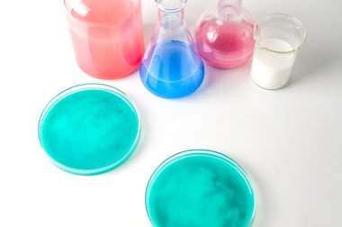 牛奶-內(nèi)酰胺酶(-lactamase)ELISA試劑盒 牛奶-內(nèi)酰胺酶(-lactamase)ELISA試劑盒