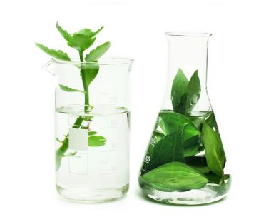 植物過氧羥基脂肪酸羥化環(huán)氧化酶(POG)試劑盒 植物過氧羥基脂肪酸羥化環(huán)氧化酶(POG)試劑盒
