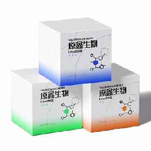 線粒體呼吸鏈復(fù)合體II活性檢測(cè)試劑盒